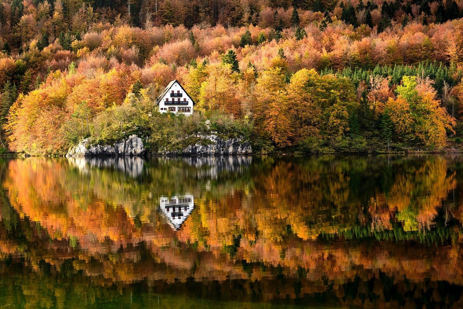 Lake Bohinj Autumn Reflection